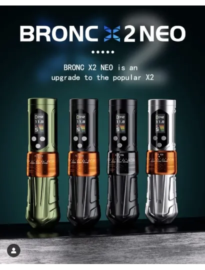 2393 Bronc Gris
