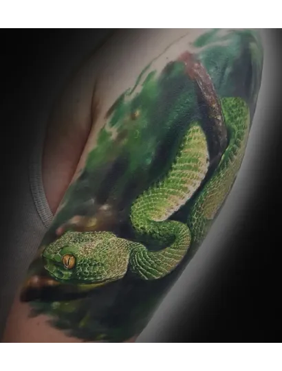 2520 Seminario Introducción al arte y realismo a color