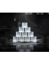 914 cups numero 11
