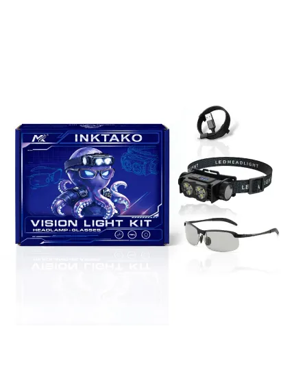 4399 Vision Light Kit
