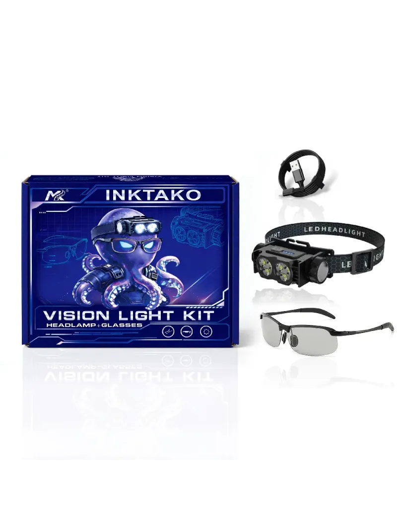 4399 Vision Light Kit